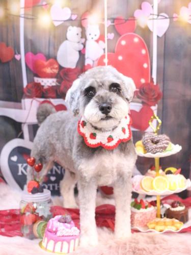 20250218ディアくん